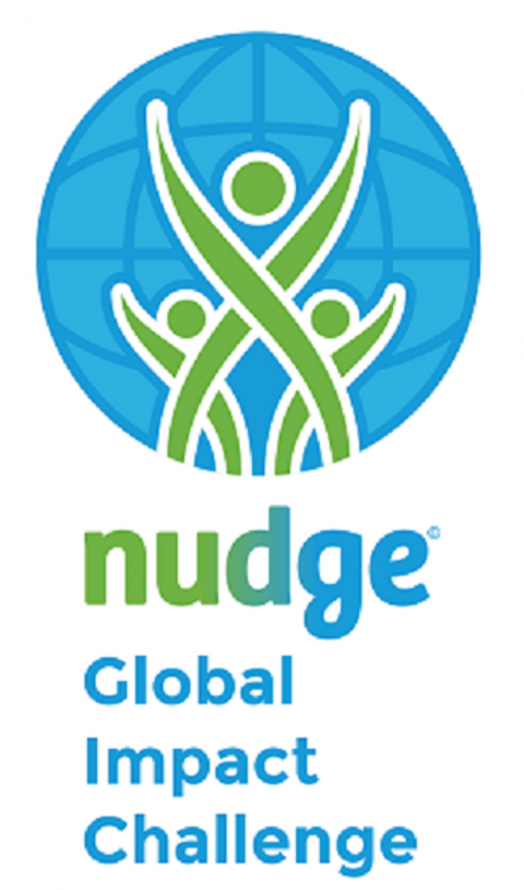 Closed: APPLY: Nudge Global Leadership Challenge 2017 for Young Professionals at Netherland