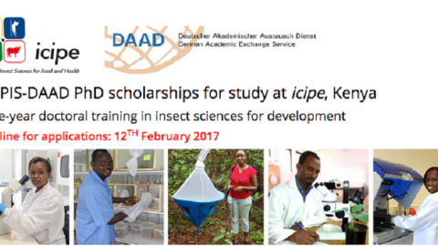 Closed: APPLY: ARPPIS-DAAD PhD Scholarships 2017