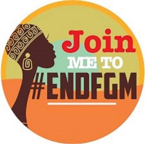 Closed: APPLY: The Youth Dialogue on FGM/C (For Young people In Abuja only) 2017