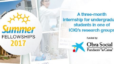 Closed: APPLY: ICIQ Summer Fellowship Programme for Undergraduate Students in Spain, 2017