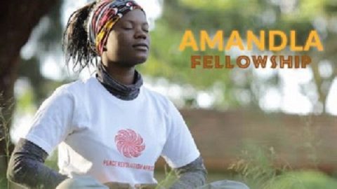 Closed: APPLY: AMANDLA Fellowship in South Africa for Eastern and Southern Africans, 2017