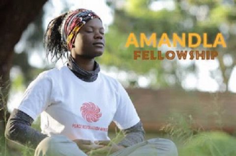 Closed: APPLY: AMANDLA Fellowship in South Africa for Eastern and Southern Africans, 2017