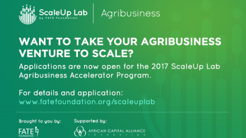 Closed: APPLY: FATE Foundation Scale Up Lab Agribusiness Accelerator Programme 2017