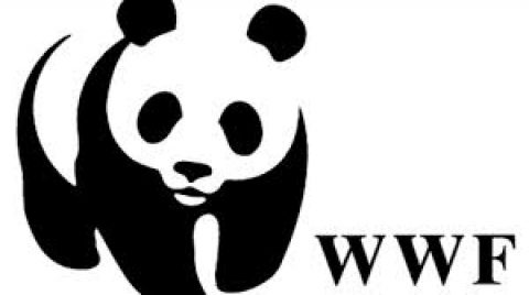 Closed: APPLY: World Wild Life (WWF) Conservation Workshop Grants for Conservation Issue-Based Organisation 2018
