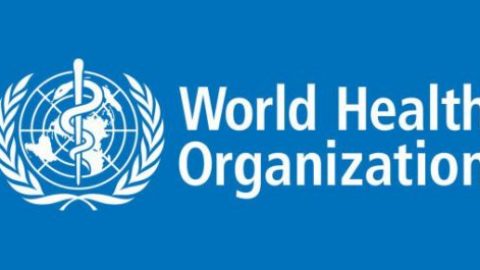 Closed: APPLY: World Health Organisation (WHO) Internship Program for Graduates 2018/2019