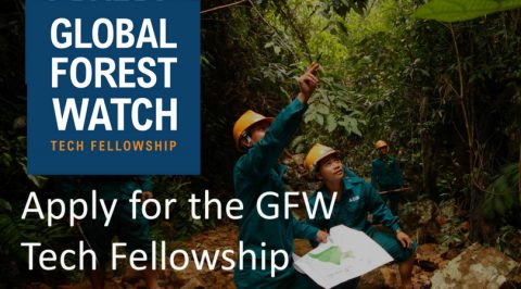 Closed: APPLY: Global Forest Watch (GFW) Tech Fellowship 2018