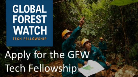 Closed: APPLY: Global Forest Watch (GFW) Tech Fellowship 2018
