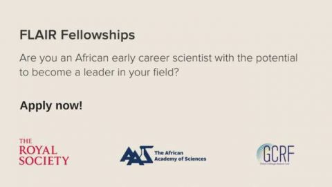 Closed: APPLY: Future Leaders-African Independent Researchers (FLAIR) Fellowship 2018