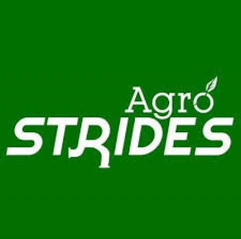 Closed: Agrostrides 30 Under 30 (Africa) Nominations