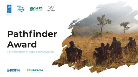 Closed: UNDP Pathfinder Award 2018