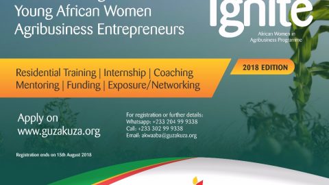 IGNITE (African Women in Agribusiness Programme) 2018