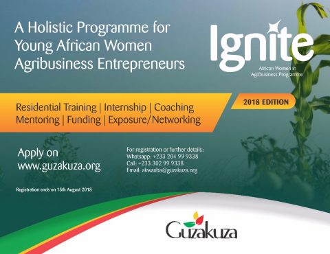 IGNITE (African Women in Agribusiness Programme) 2018