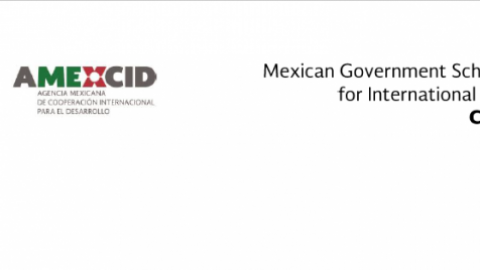 Closed: Mexican Government Scholarship for International Students 2019