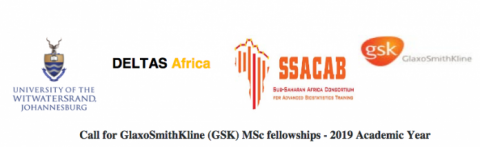 Closed: GlaxoSmithKline (GSK) Masters Fellowship for Young Africans 2019 (Fully funded)