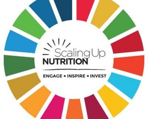 Closed: Scaling Up Nutrition Business Network (SBN) Regional Pitch Competition for SMEs in East Africa 2018
