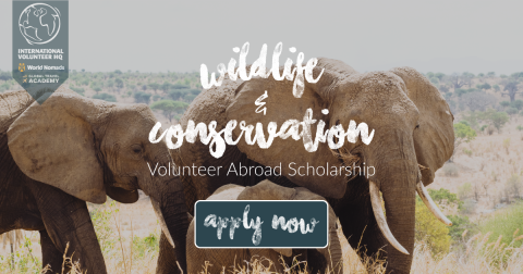 Closed: IVHQ’s Wildlife & Conservation Volunteer Abroad Scholarship 2018/2019