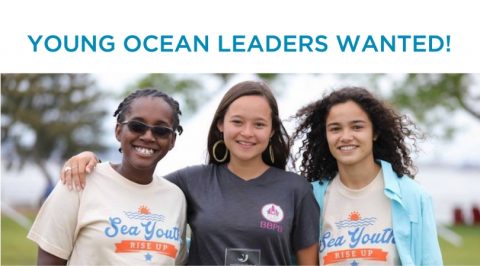 Closed: World Oceans Day Youth Advisory Council 2019: Young Ocean Leaders Wanted