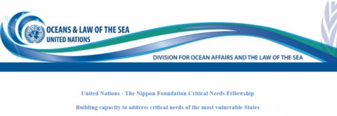 Closed: United Nations – The Nippon Foundation Sustainable Ocean Programme Critical Needs Fellowship 2019 (Funded)