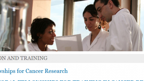 Closed: International Agency for Research on Cancer (IARC) Postdoctoral Research Training Fellowship 2019/2020 (Funded to Lyon, France)