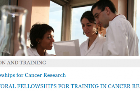 Closed: International Agency for Research on Cancer (IARC) Postdoctoral Research Training Fellowship 2019/2020 (Funded to Lyon, France)