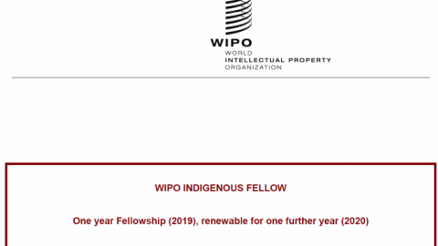 Closed: World Intellectual Property Organization (WIPO) Indigenous Fellowship 2019/2020 in Geneva,Switzerland (Fully Funded)