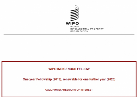 Closed: World Intellectual Property Organization (WIPO) Indigenous Fellowship 2019/2020 in Geneva,Switzerland (Fully Funded)