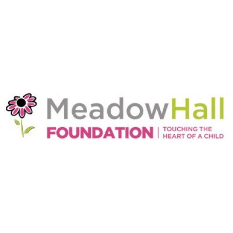 Closed: Free Teachers Trainee Programme 2019 by Meadow Hall Foundation.