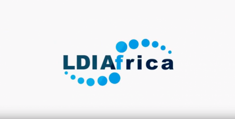 Closed: LDI Africa Emerging Institutions Fellowship Program for Young African Professionals 2019