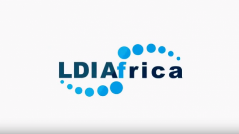 Closed: LDI Africa Emerging Institutions Fellowship Program for Young African Professionals 2019
