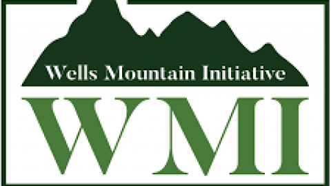 Closed: Wells Mountain Initiative (WMI) Scholars Program 2019 ($3,000 Funding)