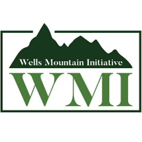 Closed: Wells Mountain Initiative (WMI) Scholars Program 2019 ($3,000 Funding)