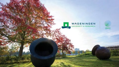 Fully Funded Wageningen University & Research Africa Scholarship Programme (ASP) 2019 for young African Students