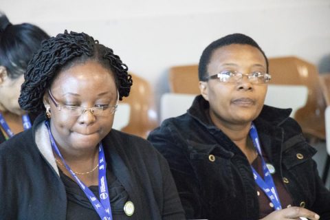 Early Career Fellowship for Women In Science.