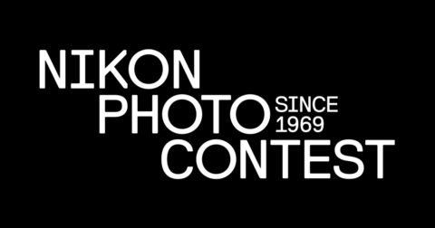 Nikon Small World Contest.