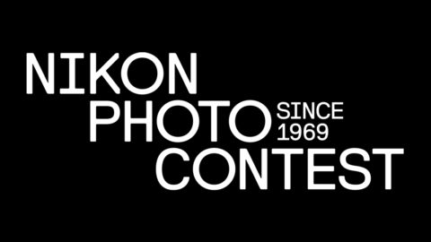 Nikon Small World Contest.