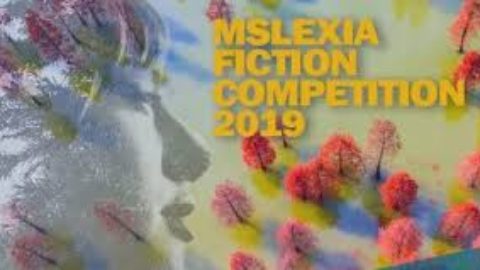 £3,000 Mslexia Women Short Story  Competition 2019.
