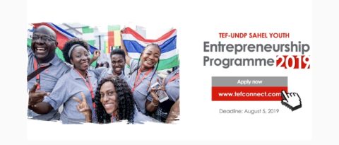 Tony Elumelu Foundation TEF-UNDP, Sahel Youth Entrepreneurship Program 2019.