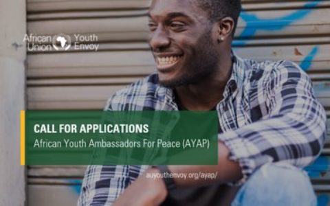 African Youth Ambassadors For Peace (AYAP)
