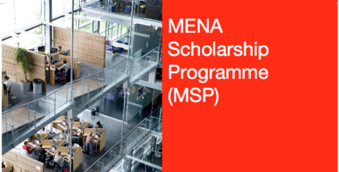 Fully Funded NFP/MSP (MENA) Scholarship Programme 2020 for Study in Netherland