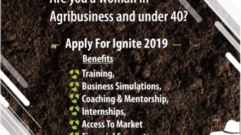 IGNITE Programme for African Women In Agribusiness 2019.