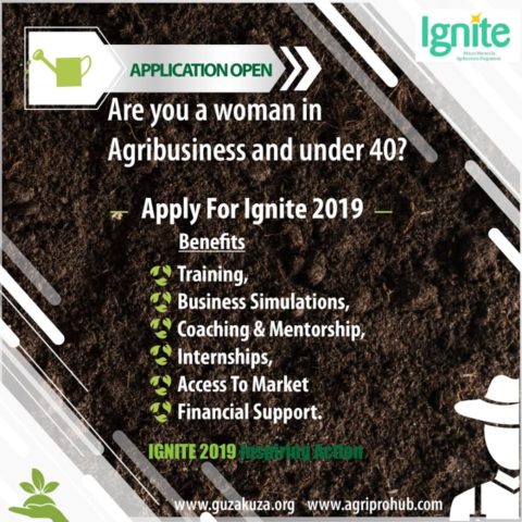 IGNITE Programme for African Women In Agribusiness 2019.