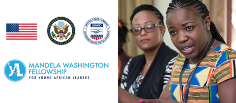 Mandela Washington Fellowship for Young African Leaders