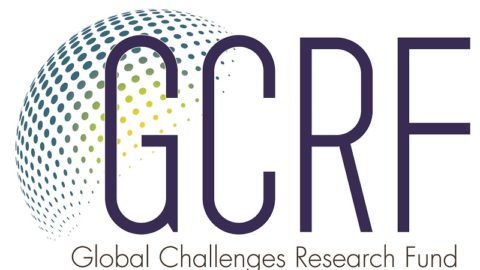 Global Challenges Research Fund African SWIFT Fellowship Programme 2020