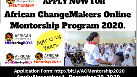 African ChangeMakers Online Mentorship Program for Young leaders 2020