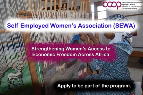 Strengthening Womens’ Access to Economic Freedom Across Africa