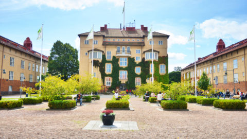 Kristianstad University Scholarship in Sweden