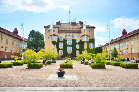 Kristianstad University Scholarship in Sweden