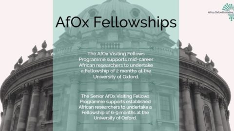Africa Oxford Initiative for African Scholars and Researchers 20.