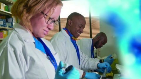 Fully funded Africa Biosciences Challenge Fund fellowships 2020