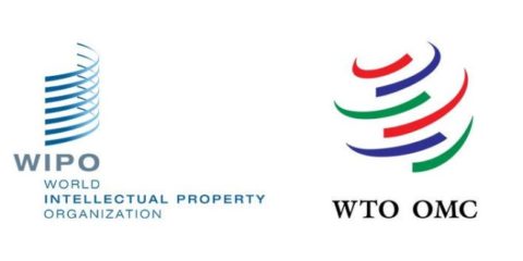 WIPO-WTO Colloquiums for Intellectual Property Teachers 2020